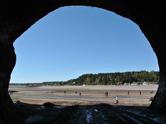 Roy's Tours-圣约翰必去景点
