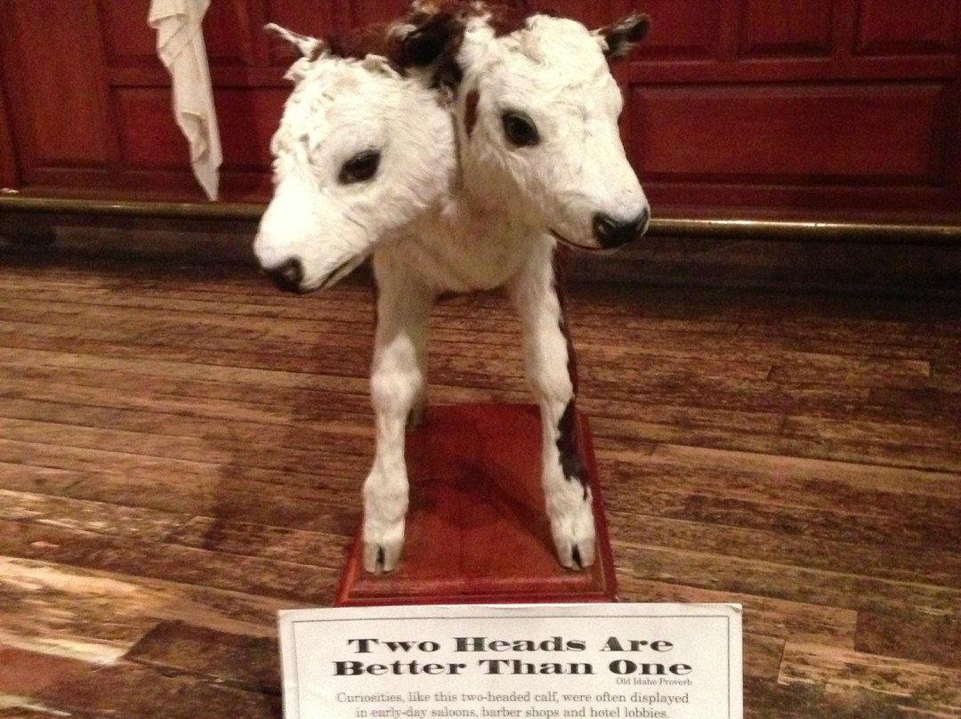 Idaho State Museum-博伊西必去景点