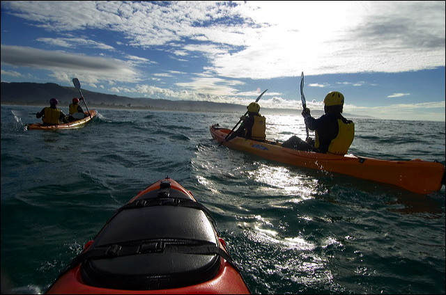 Apollo Bay Surf and Kayak景点图片