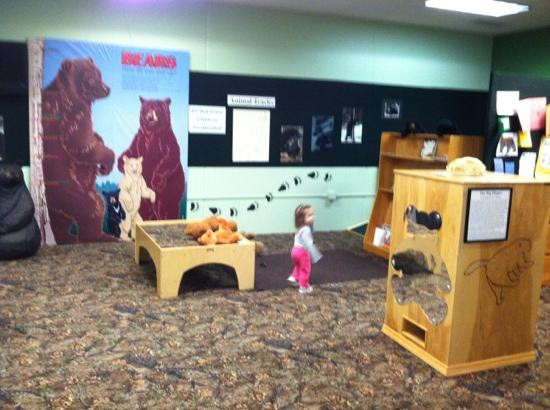 North American Bear Center-伊利必去景点