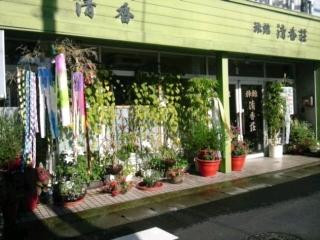Seikaso