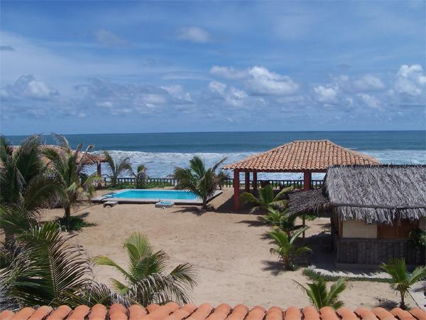 El Tulipan