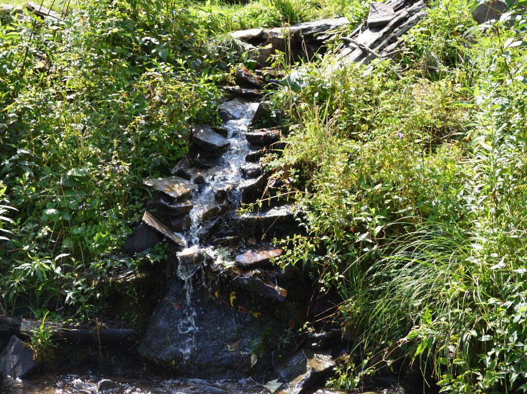 Streams and Dreams主图