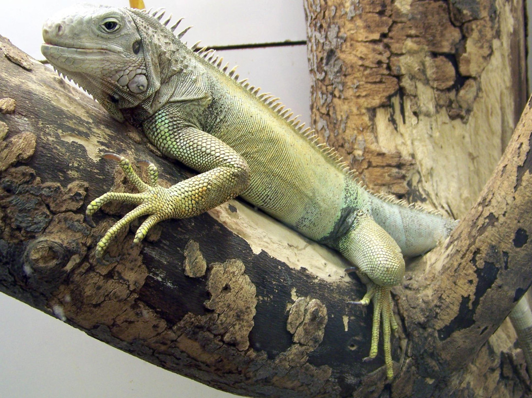 Joseph Moore Museum-里士满必去景点