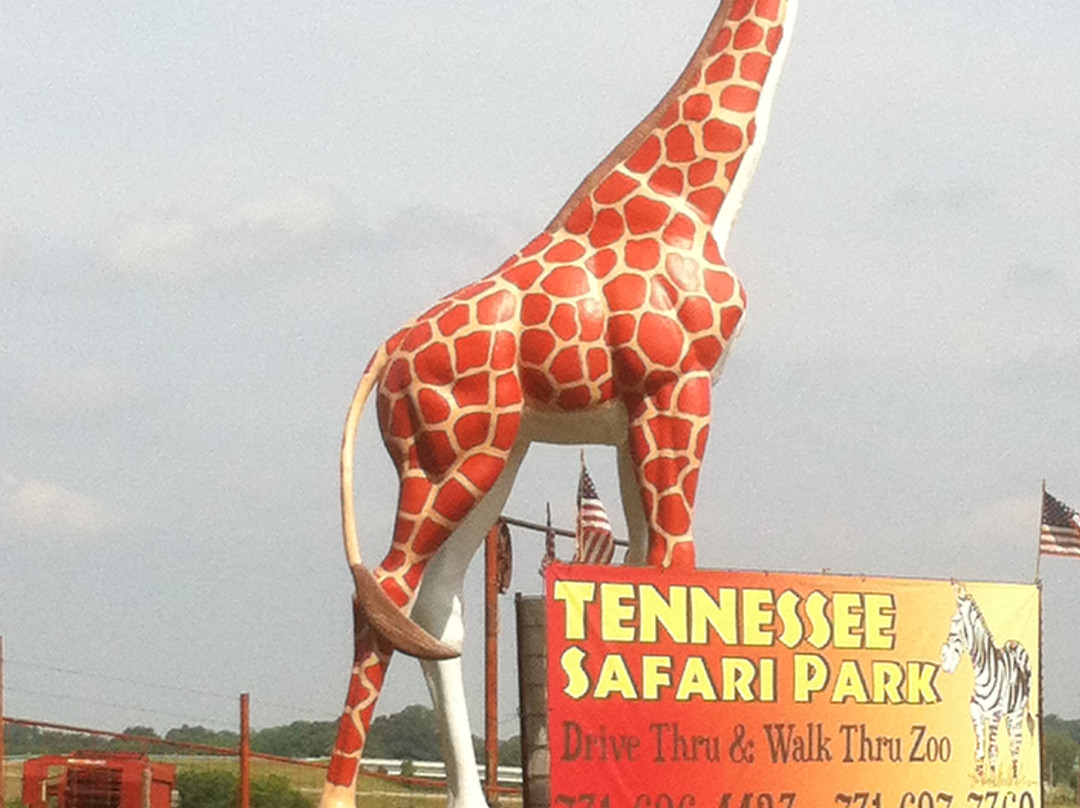 Tennessee Safari Park-Alamo必去景点