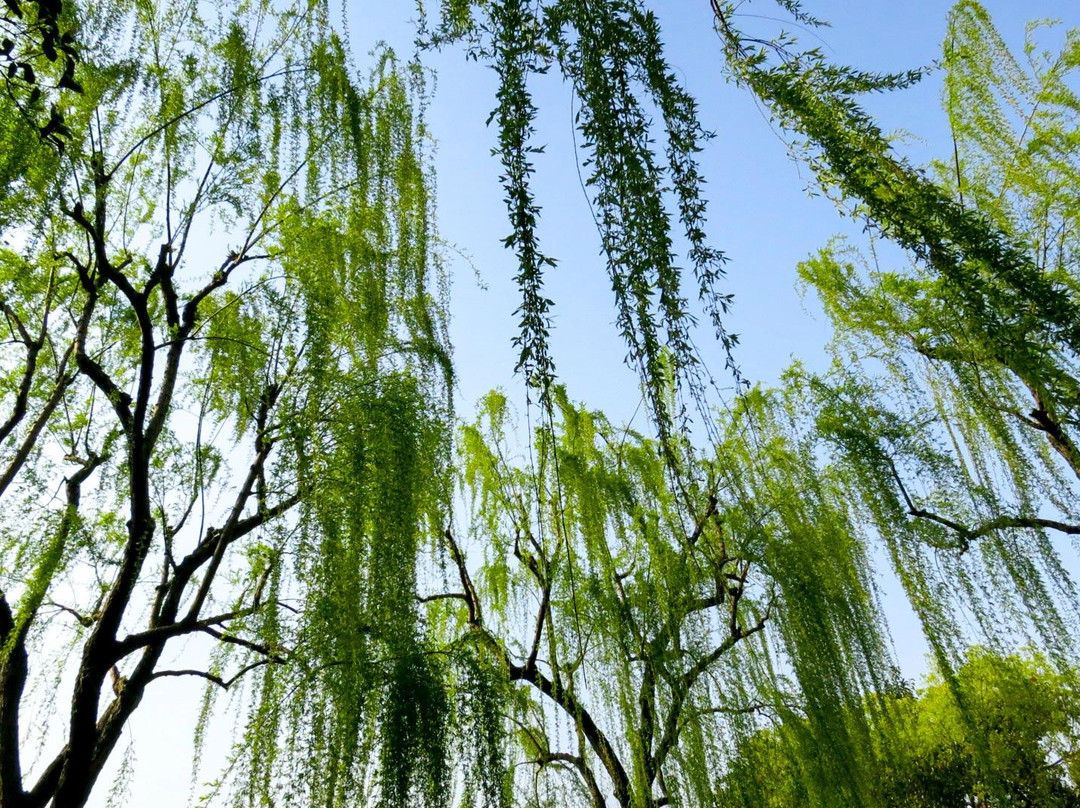 杭州温德姆至尊豪廷大酒店主图