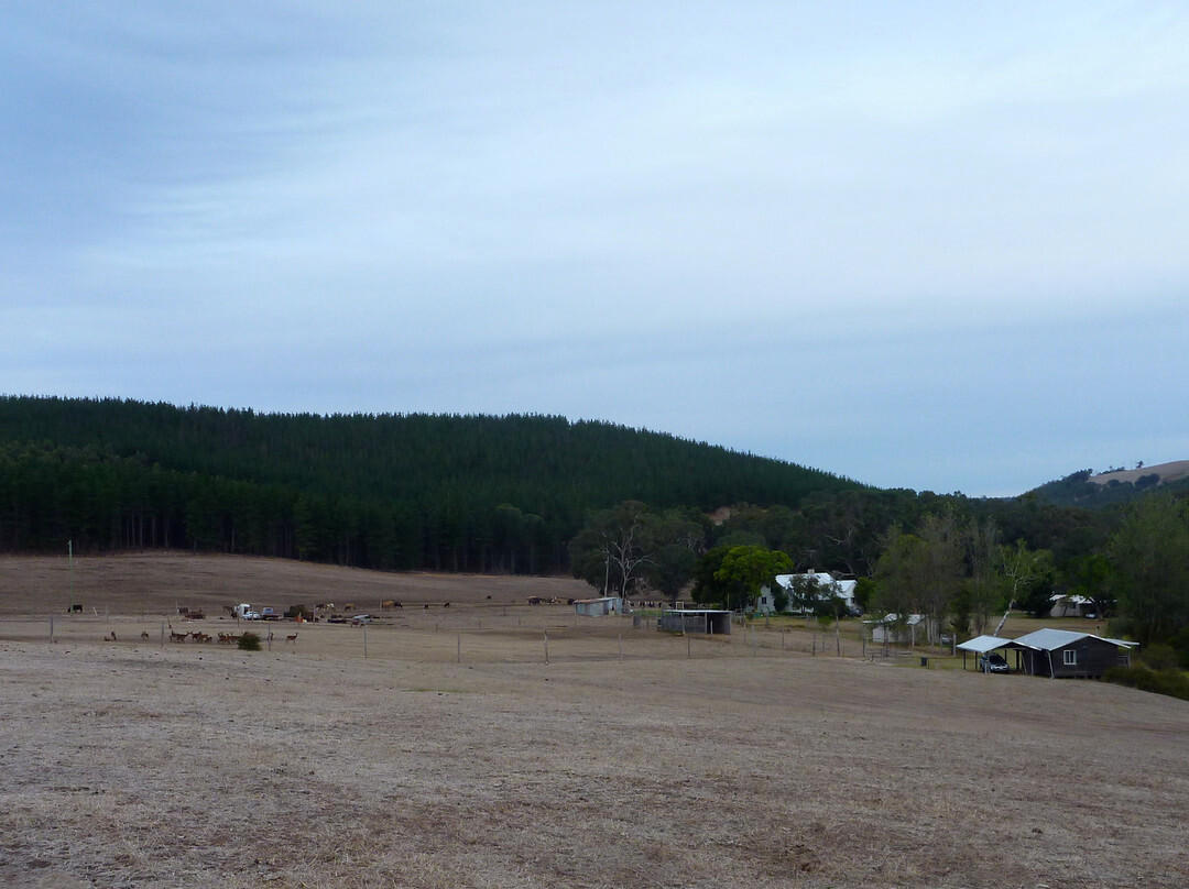Tiger Cottages
