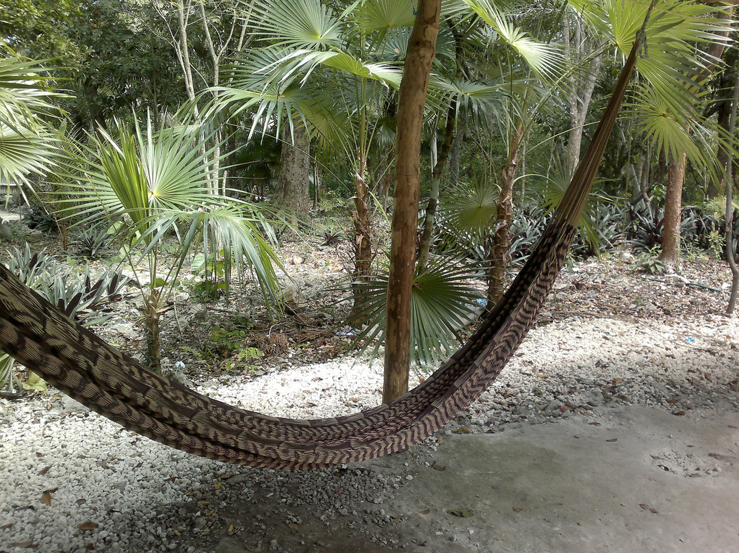 Ixchel Jungle Spa-从莫雷洛斯港必去景点