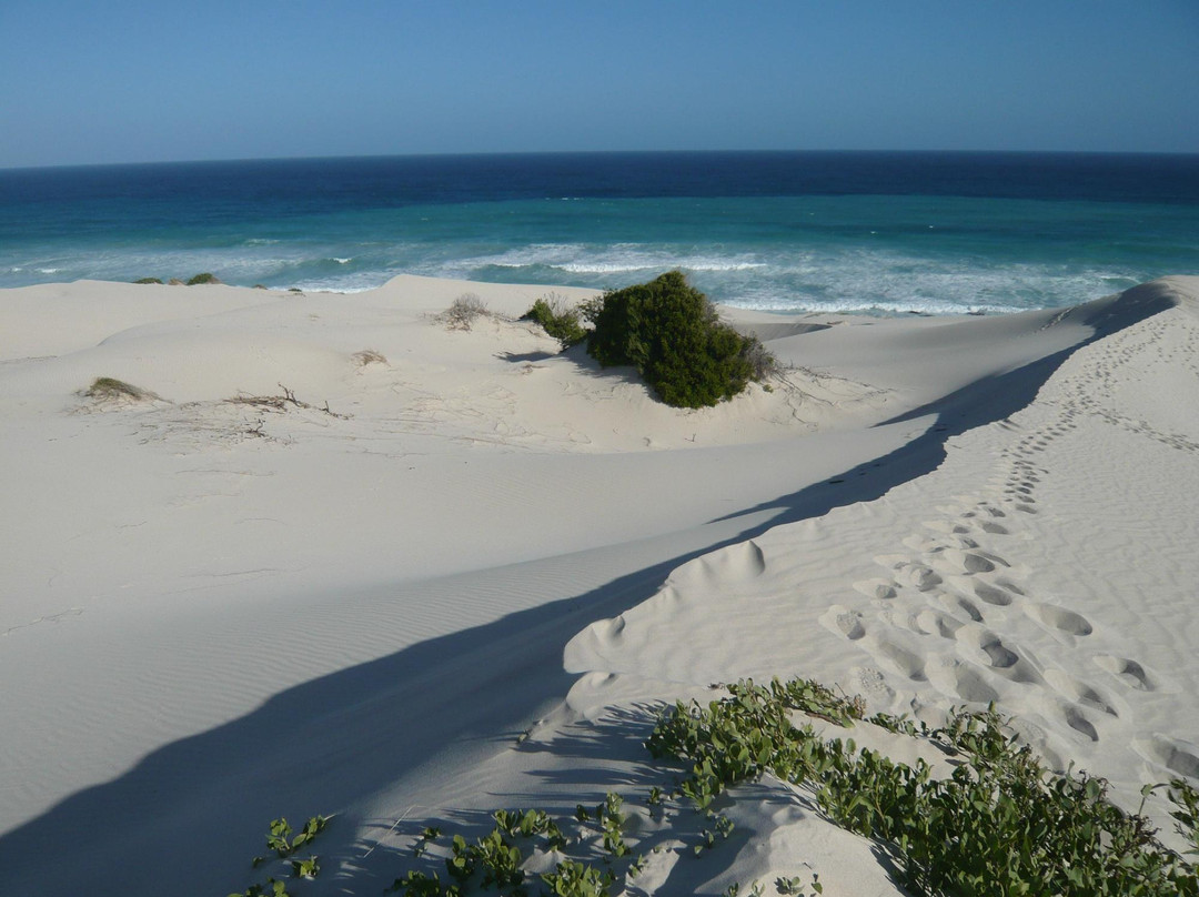 De Hoop Nature Reserve Whale Trail-De Hoop Nature Reserve必去景点