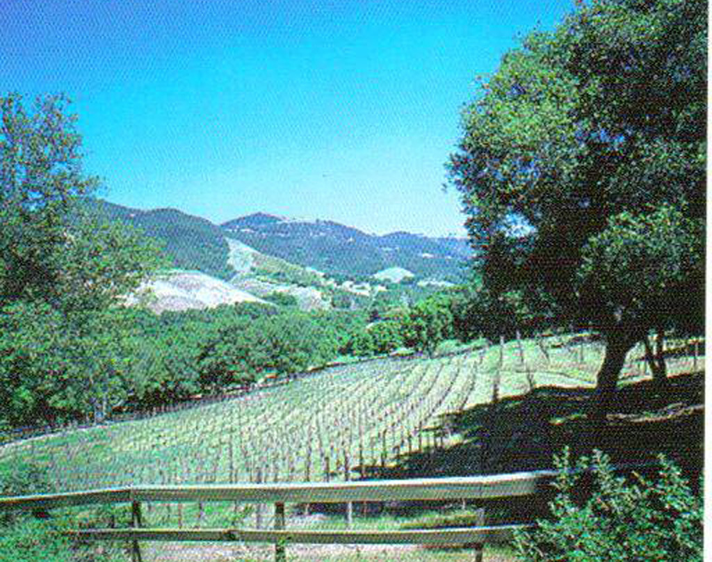 Hidden Malibu Wine Country Tours景点图片