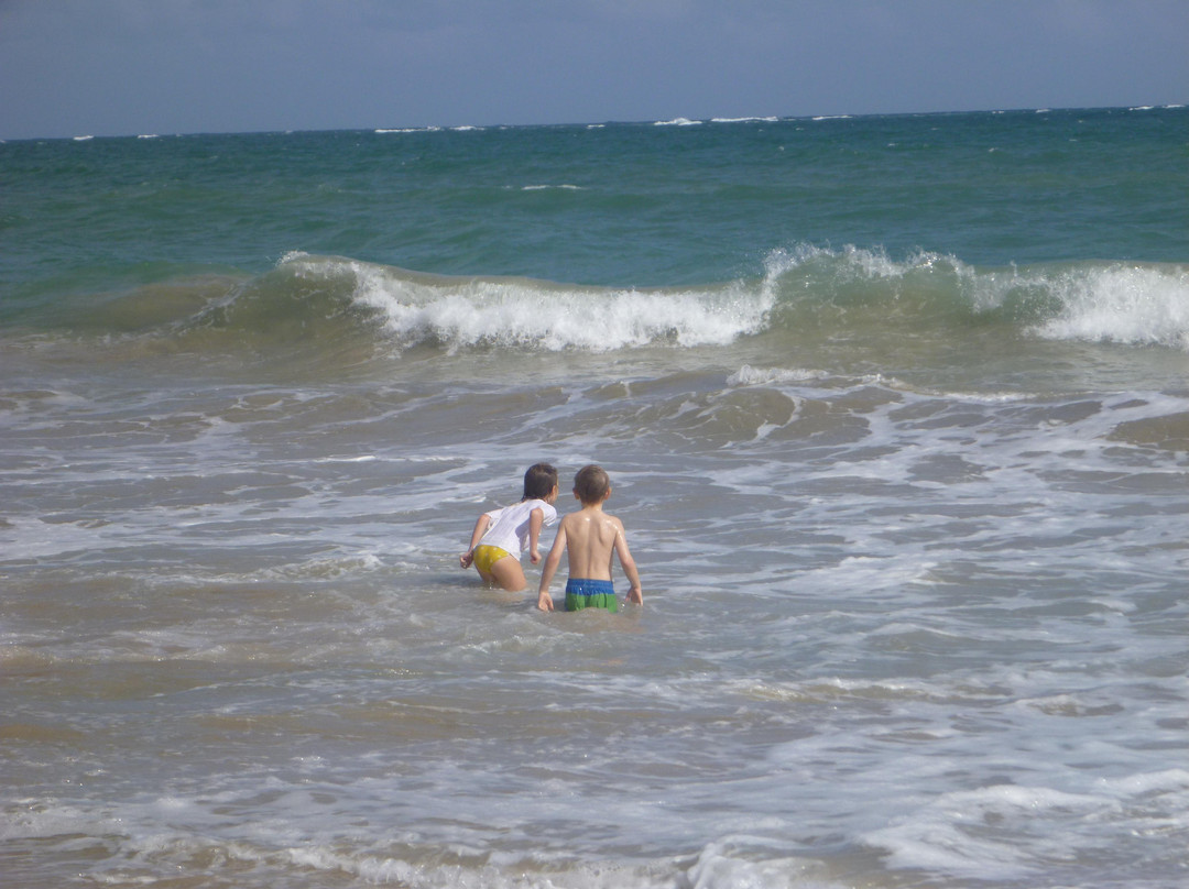 Playa Ocean Park景点图片