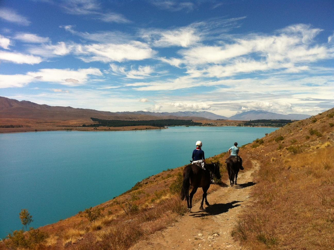 麦肯西高山骑马之旅－一日游-特卡波湖必去景点