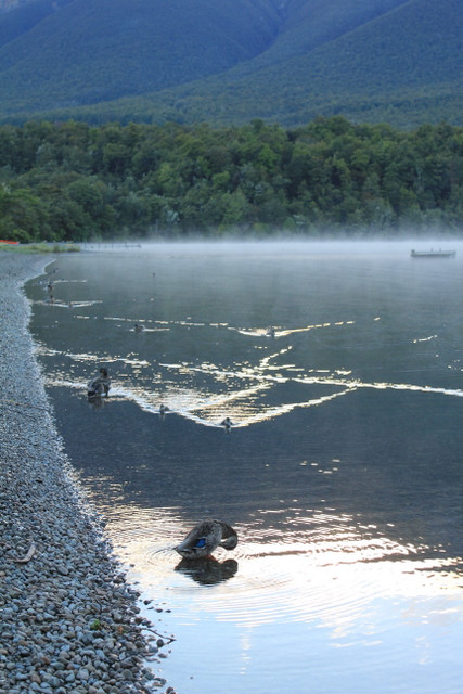 Nelson Lakes National Park景点图片