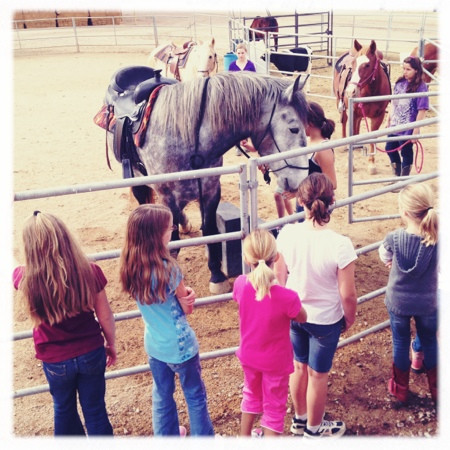 Superstition Farm-梅萨必去景点