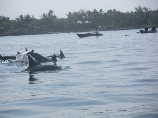 基亚拉凯库亚湾-库克船长必去景点