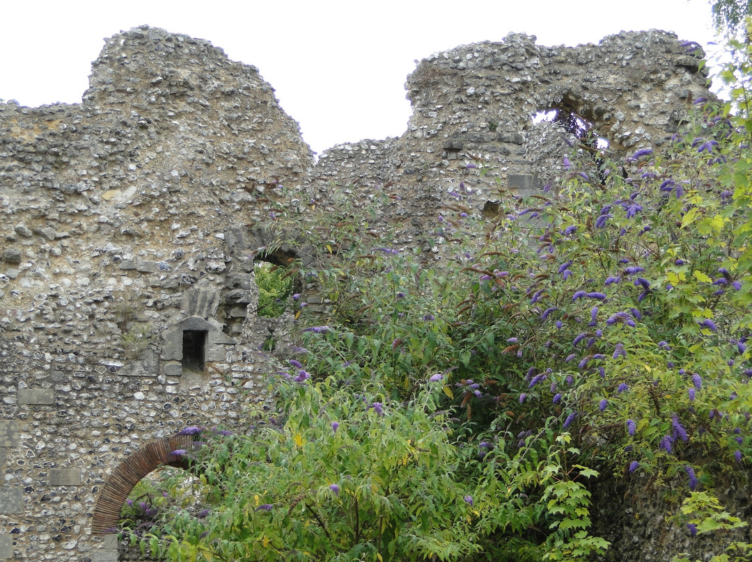 Wolvesey Castle景点图片