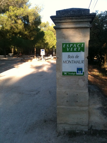 Bois de Montmaur景点图片