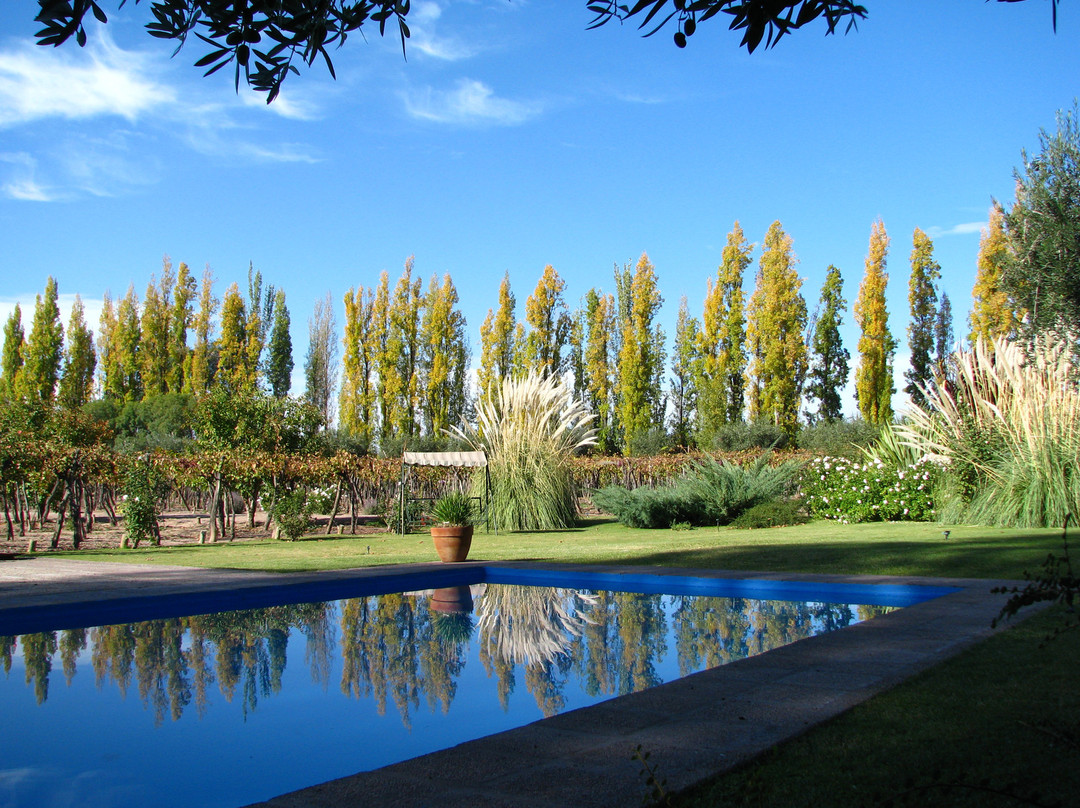 Conalbi Grinberg Casa Vinicola-Maipu必去景点