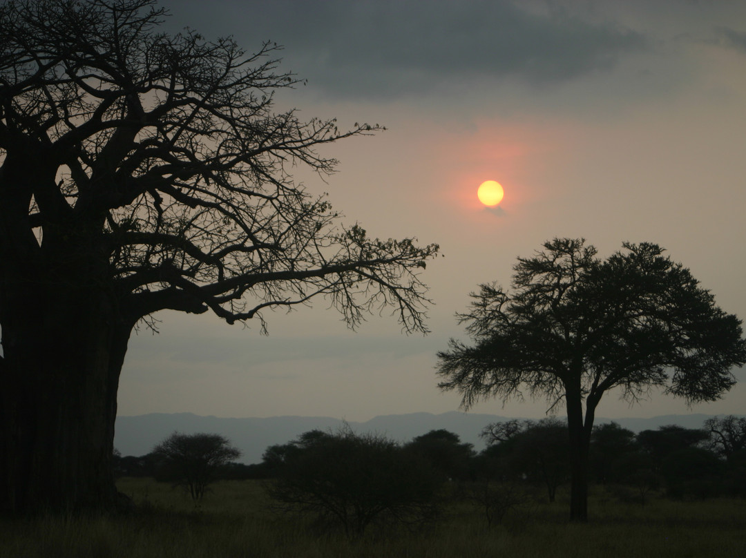 Roy Safaris-阿鲁沙必去景点
