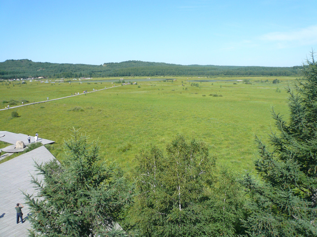 塞罕坝国家森林公园-围场县必去景点