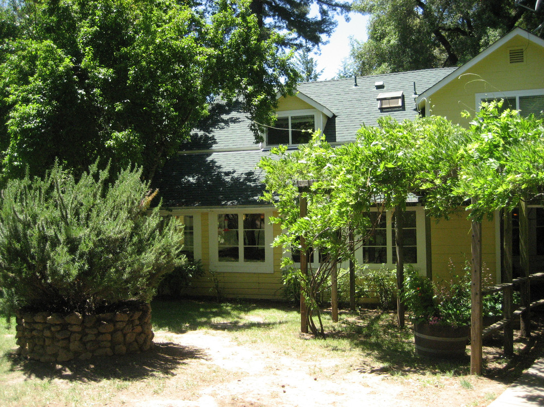 Blackbird Farm