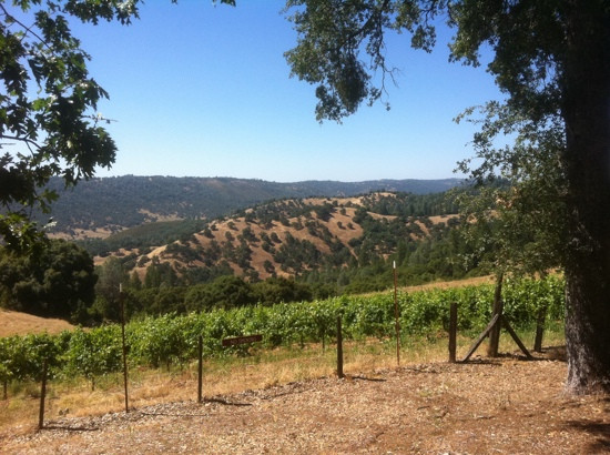 Story Winery景点图片