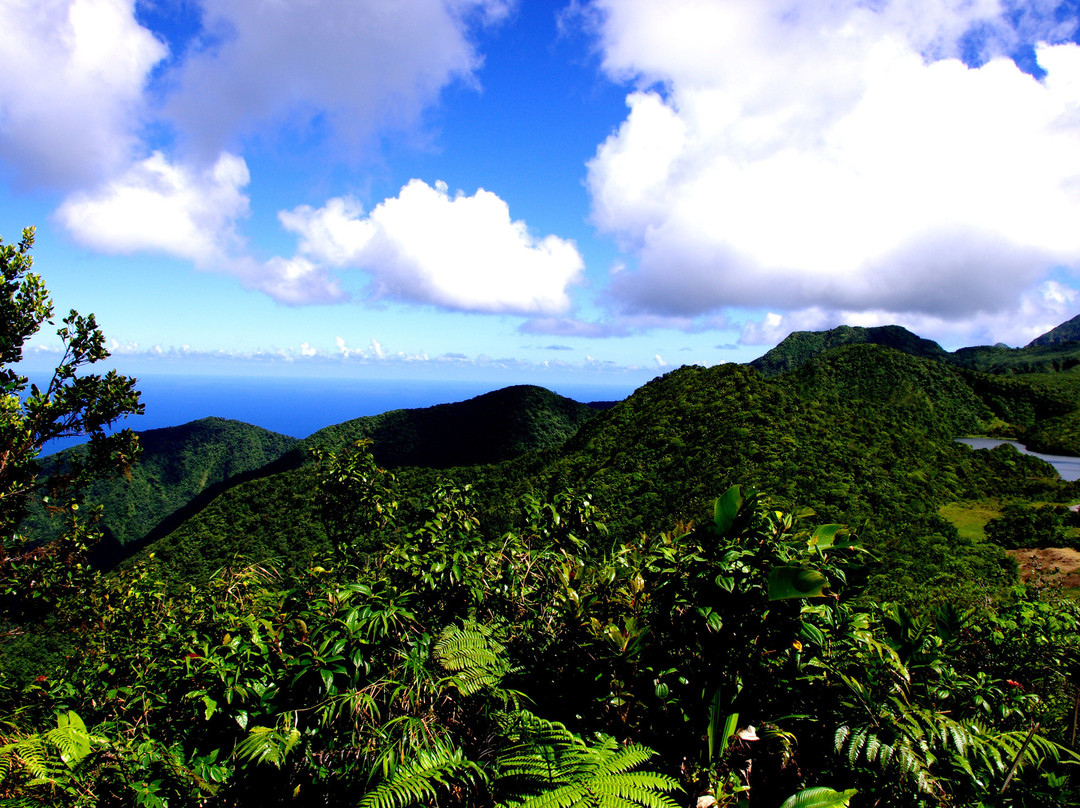 Boeri Lake-Morne Trois Pitons National Park必去景点