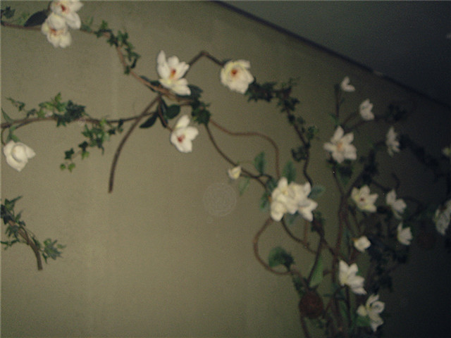 上海薇爱精品时尚酒店万航渡路店主图