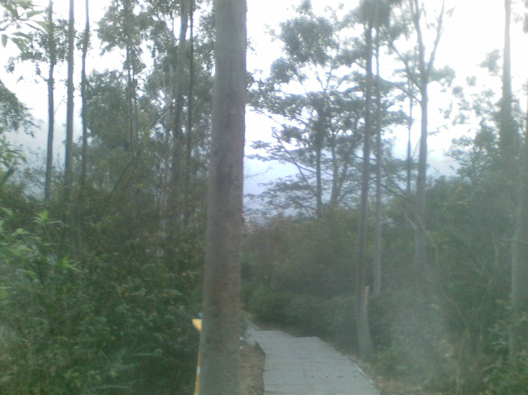 水濂山公园-东莞市必去景点