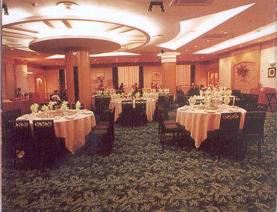 银星大酒店主图