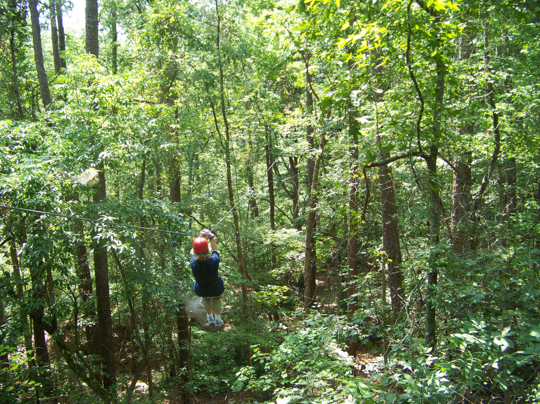 ZipQuest Waterfall & Treetop Adventure-费耶特维尔必去景点
