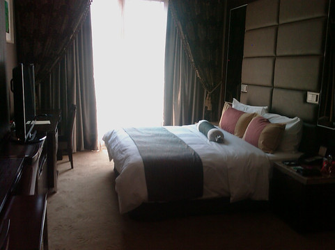 芜湖花园湖景西格国际酒店主图