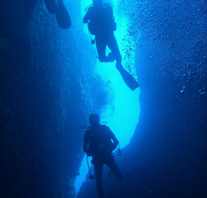 Sirena Diving Center景点图片