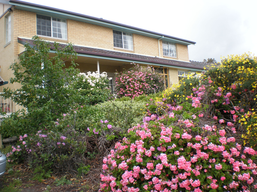 Cherry Park Estate主图