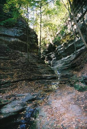饥饿岩石州立公园-奥格尔斯比必去景点