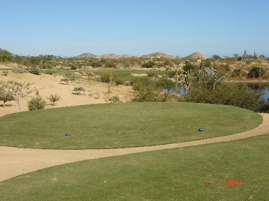Desert Course at Cabo del Sol-洛斯卡布斯必去景点