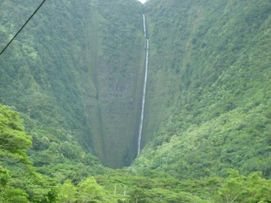 Na'alapa Stables - Waipio Valley景点图片