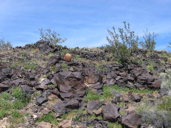 Mojave Desert-加利福尼亚必去景点