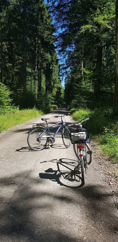 Sauschütt Hohenlinden-Hohenlinden必去景点