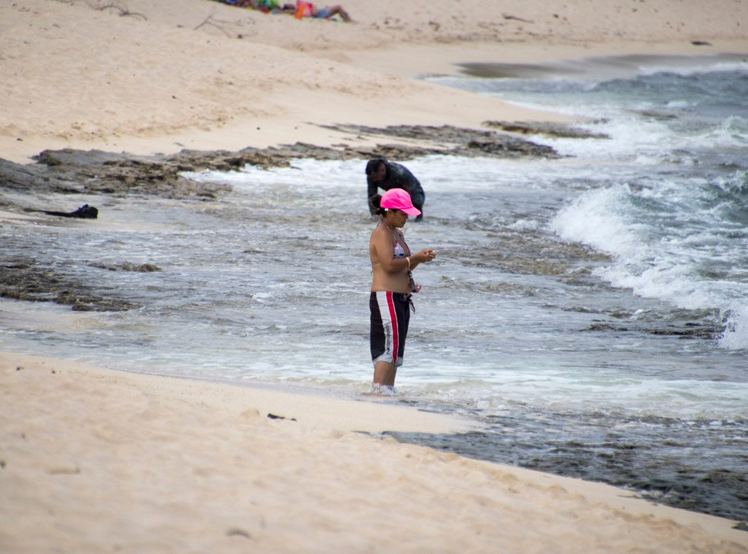 Aweoweo Beach Park-瓦亚禄必去景点
