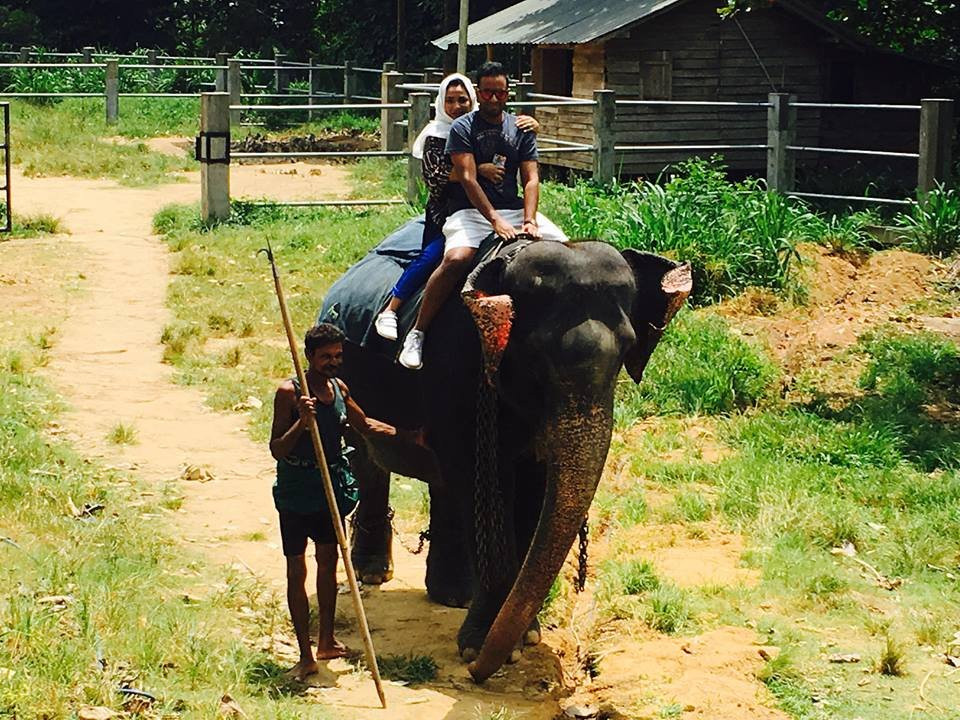 Eco Travels Sri Lanka景点图片