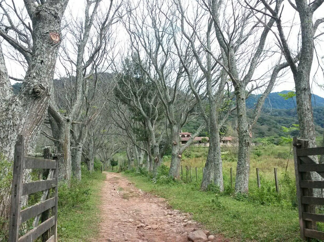 El Paraiso del Tordo
