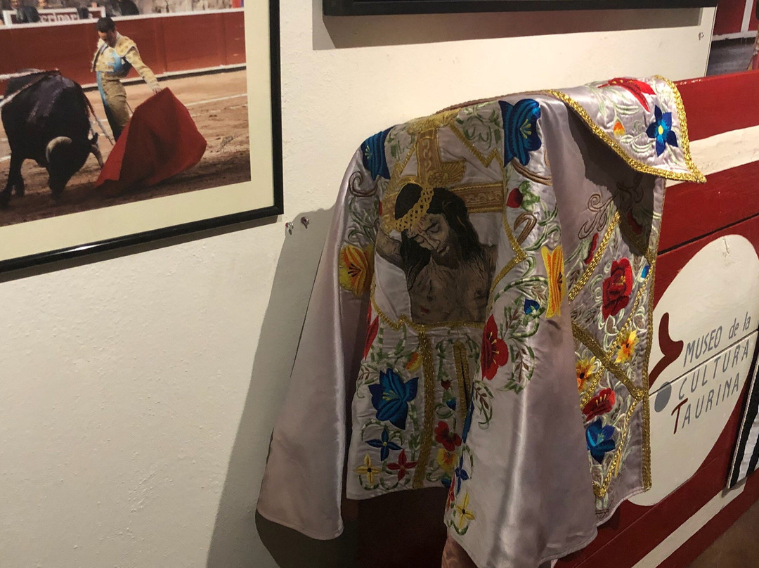 Museo de la Cultura Taurina-萨尔蒂必去景点