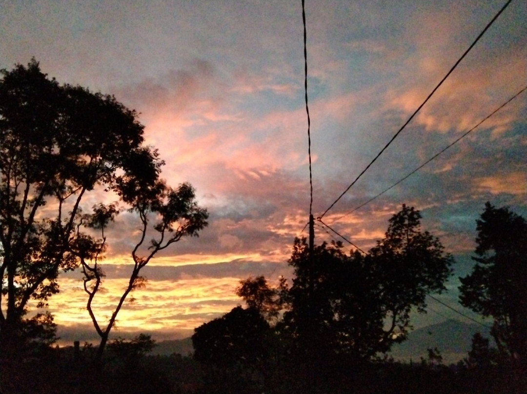Desa Wisata Kalipucang