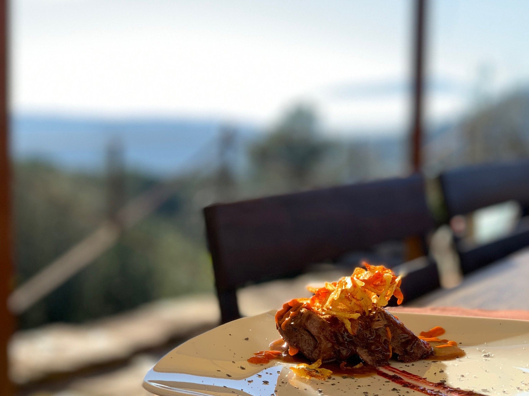 Celra餐馆和美食-Mirador de Can Pi