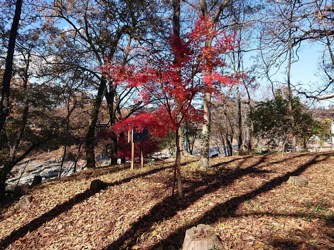 Horaijima Park景点图片