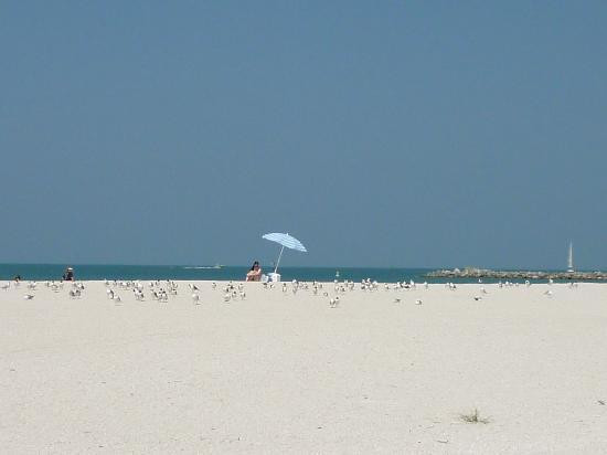 Sand Key Park-克利尔沃特必去景点