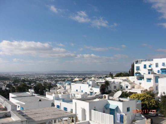 Dar Nejma Ezzahra 宫殿-蓝白小镇必去景点