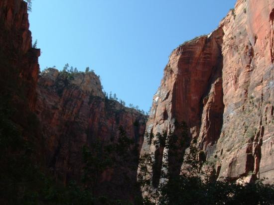 Riverside Walk-锡安国家公园必去景点