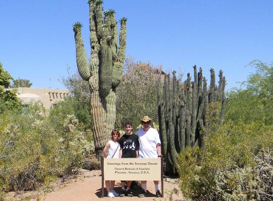 Arizona Scenic Tours - Day Tours-凤凰城必去景点